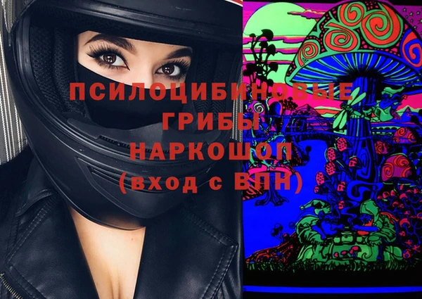 гашик Баксан