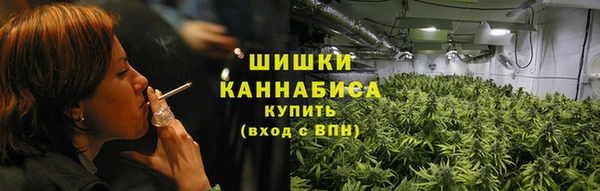 ECSTASY Белокуриха